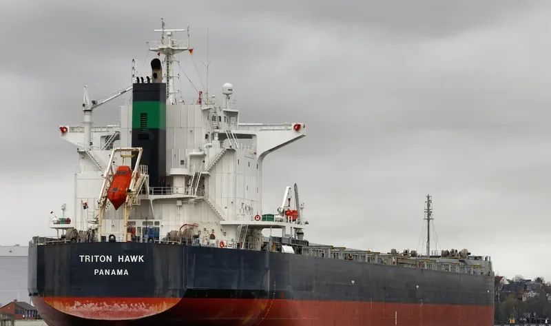 TRITON HAWK Bulk Carrier IMO 9425679 photo 6