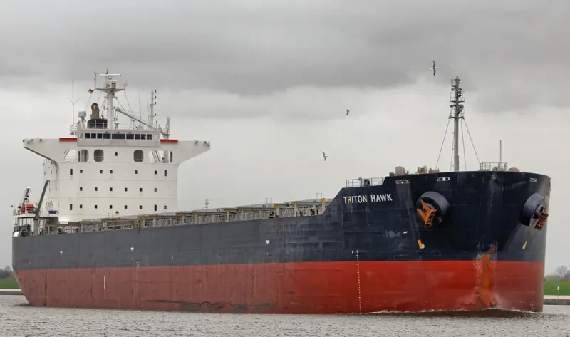 TRITON HAWK Bulk Carrier IMO 9425679 photo 7
