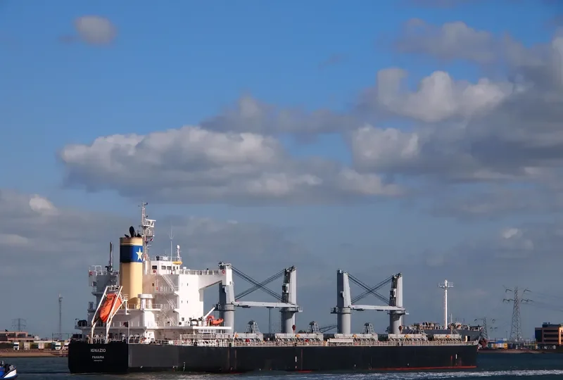 IGNAZIO Bulk Carrier IMO 9425784 photo 8