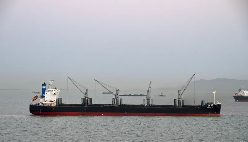 FOREVER SW Bulk Carrier IMO 9425837