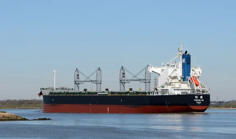 FOREVER SW Bulk Carrier IMO 9425837 photo 5