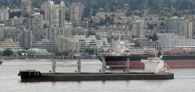 FOREVER SW Bulk Carrier IMO 9425837 photo 6