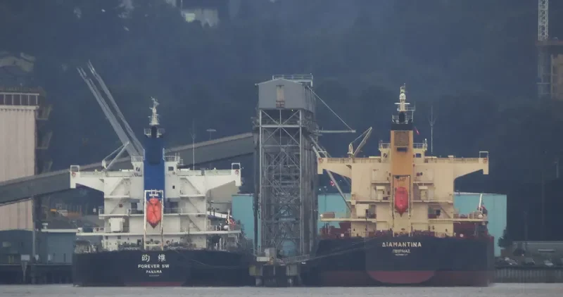FOREVER SW Bulk Carrier IMO 9425837 photo 7