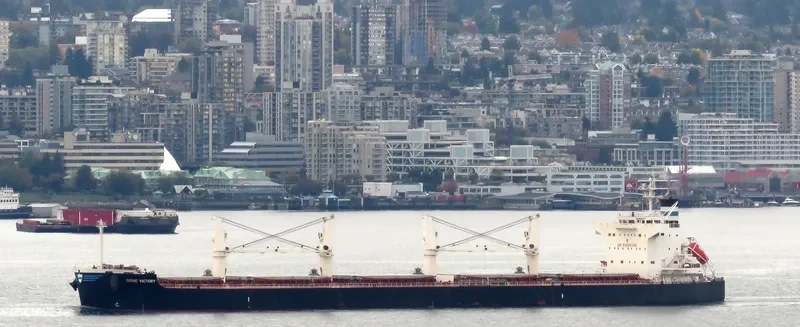 DORIC VICTORY Bulk Carrier IMO 9425887