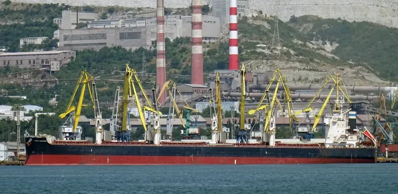 ROYAL SAMURAI Bulk Carrier IMO 9425899 photo 2