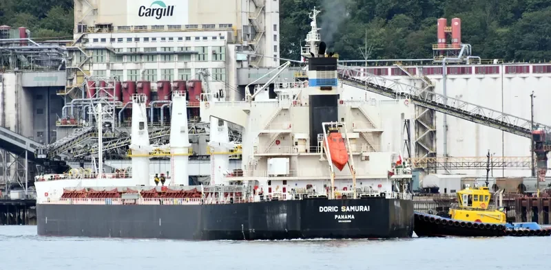 ROYAL SAMURAI Bulk Carrier IMO 9425899 photo 3