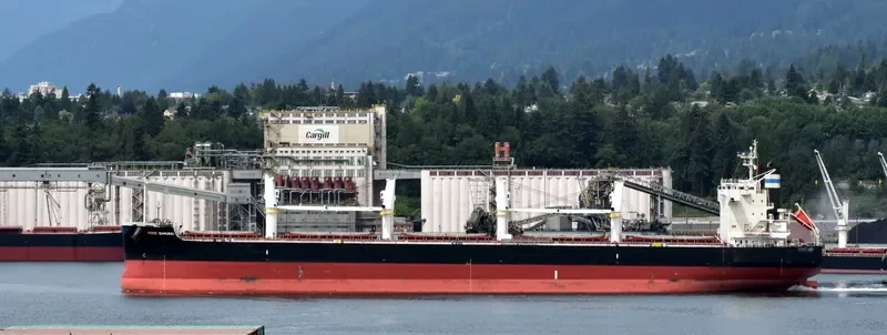 ROYAL SAMURAI Bulk Carrier IMO 9425899 photo 6