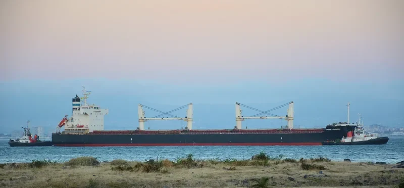 ROYAL SAMURAI Bulk Carrier IMO 9425899 photo 8