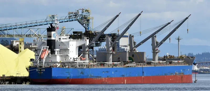 C LION Bulk Carrier IMO 9425916 photo 3