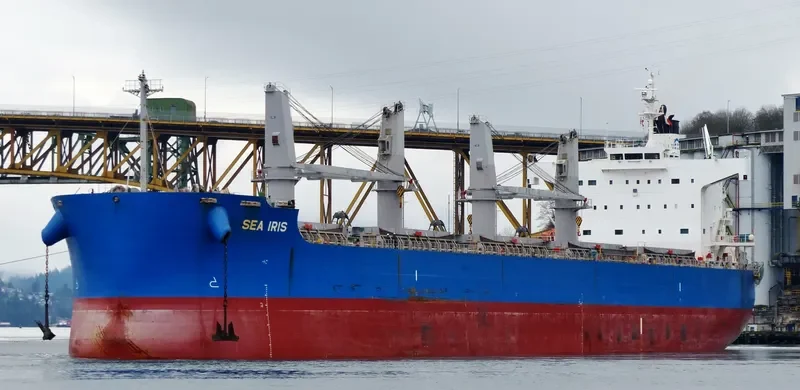 C LION Bulk Carrier IMO 9425916 photo 9