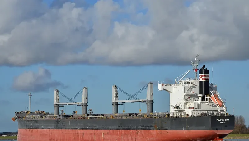 PEACE HOPE Bulk Carrier IMO 9425954