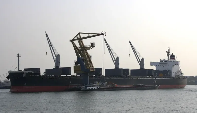 PEACE HOPE Bulk Carrier IMO 9425954 photo 2