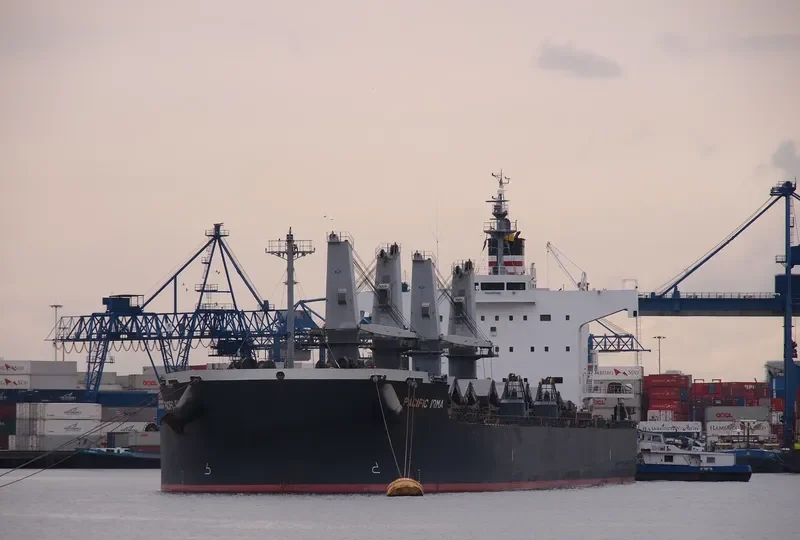 PEACE HOPE Bulk Carrier IMO 9425954 photo 3