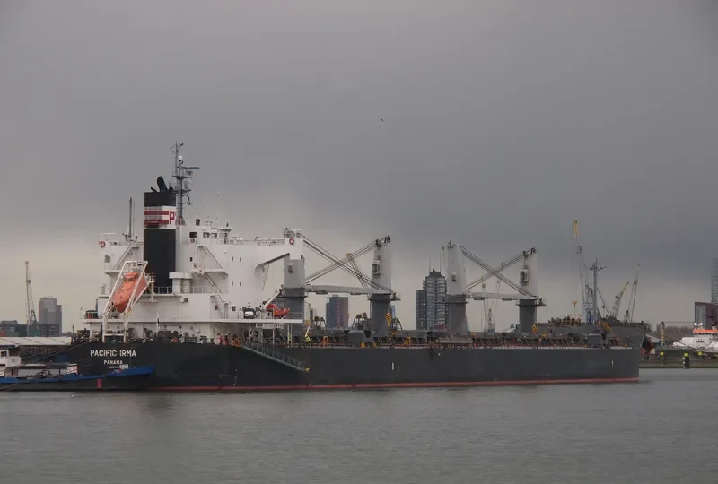 PEACE HOPE Bulk Carrier IMO 9425954 photo 5