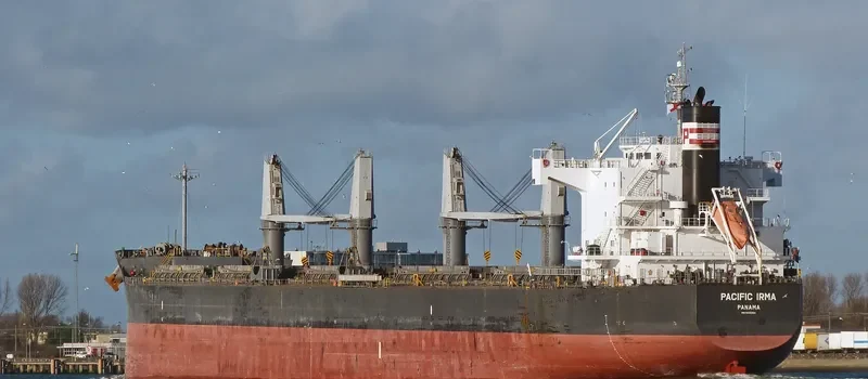 PEACE HOPE Bulk Carrier IMO 9425954 photo 6