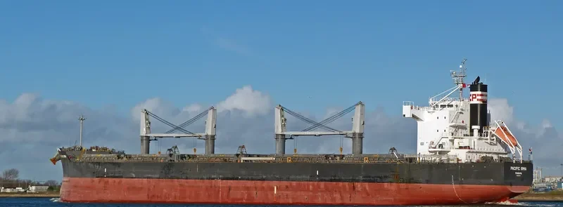 PEACE HOPE Bulk Carrier IMO 9425954 photo 7