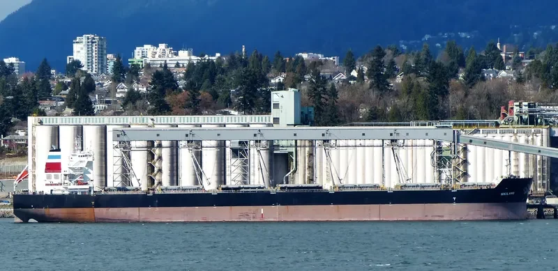 NIKILAND Bulk Carrier IMO 9426001 photo 8