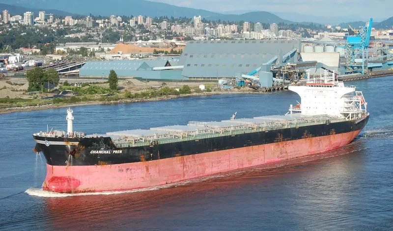 LM SELENE Bulk Carrier IMO 9426025 photo 4
