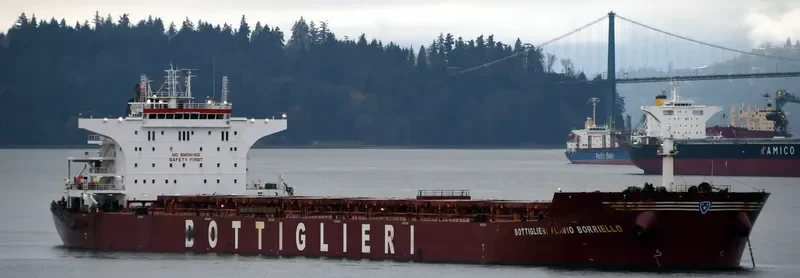 ZHONG XIN FA ZHAN Bulk Carrier IMO 9426099 photo 7