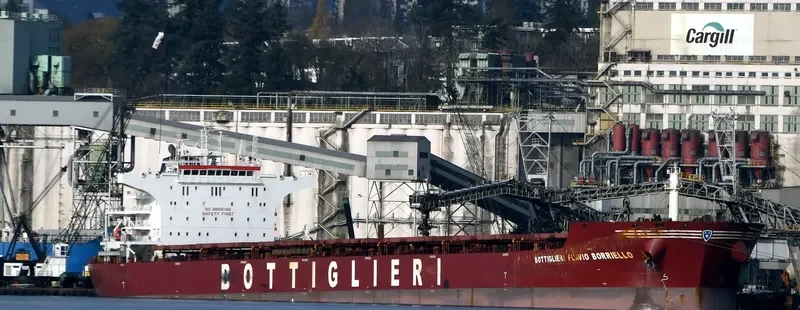 ZHONG XIN FA ZHAN Bulk Carrier IMO 9426099 photo 9