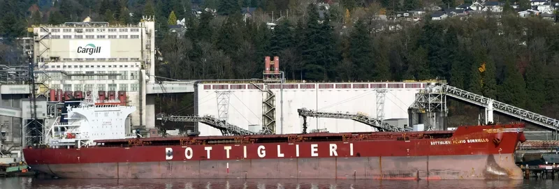 ZHONG XIN FA ZHAN Bulk Carrier IMO 9426099 photo 10