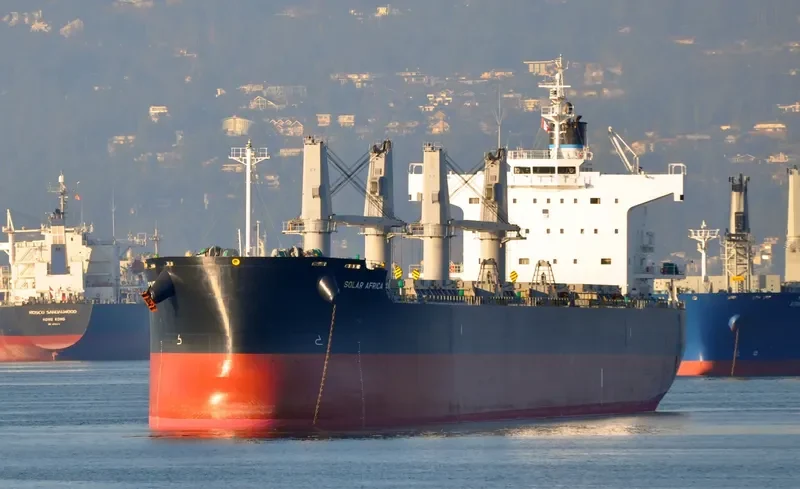 SOLAR AFRICA Bulk Carrier IMO 9426128 photo 4