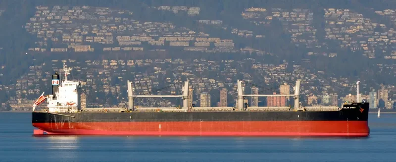 SOLAR AFRICA Bulk Carrier IMO 9426128 photo 5