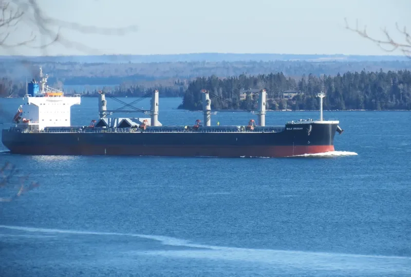 BULK URUGUAY Bulk Carrier IMO 9426154 photo 10