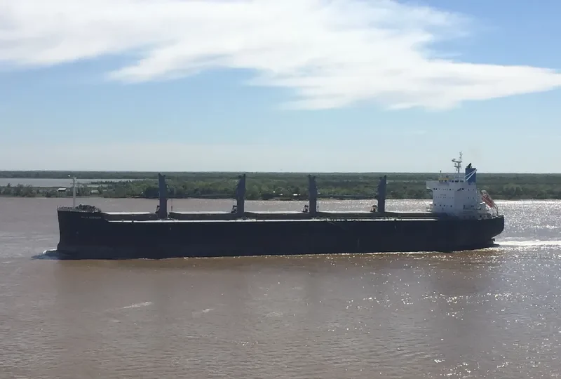 BULK ECUADOR Bulk Carrier IMO 9426192