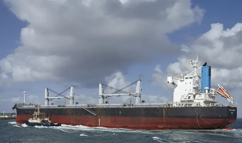 BULK ECUADOR Bulk Carrier IMO 9426192 photo 6