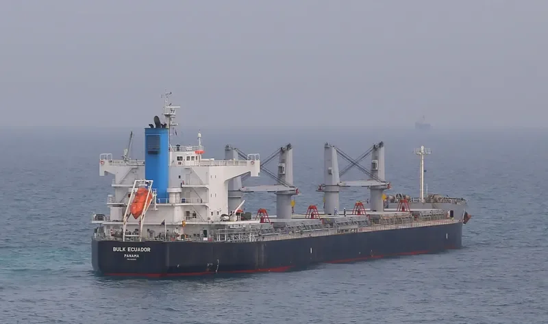 BULK ECUADOR Bulk Carrier IMO 9426192 photo 8