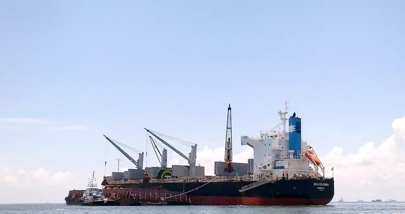 BULK COLOMBIA Bulk Carrier IMO 9426245 photo 2