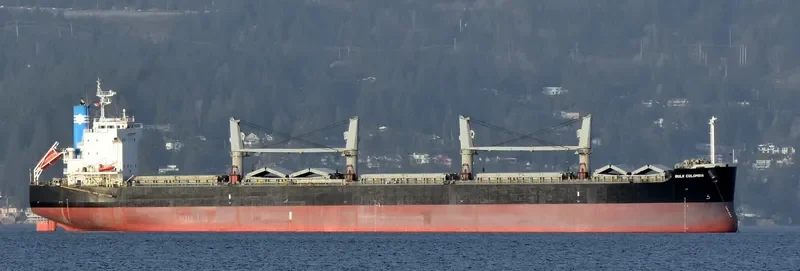 BULK COLOMBIA Bulk Carrier IMO 9426245 photo 10