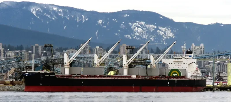 DORIC VALOUR Bulk Carrier IMO 9426257 photo 3