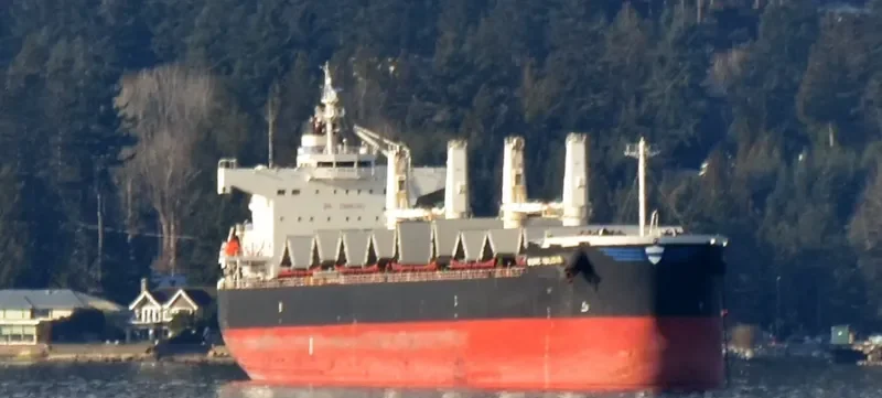 DORIC VALOUR Bulk Carrier IMO 9426257 photo 4