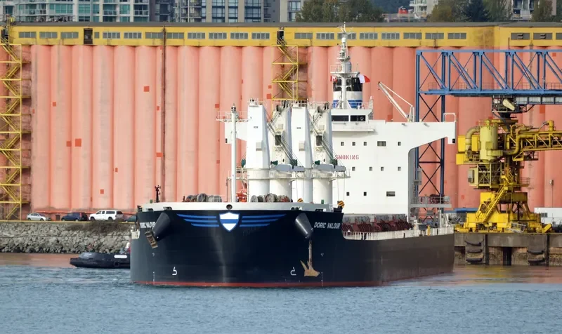 DORIC VALOUR Bulk Carrier IMO 9426257 photo 7