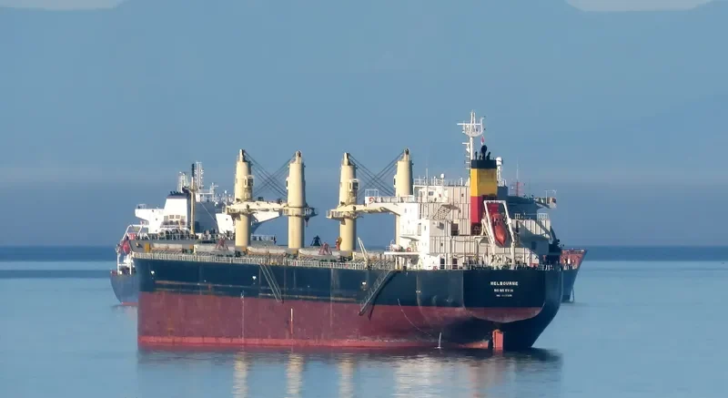 SHELTER ISLAND Bulk Carrier IMO 9426336 photo 7