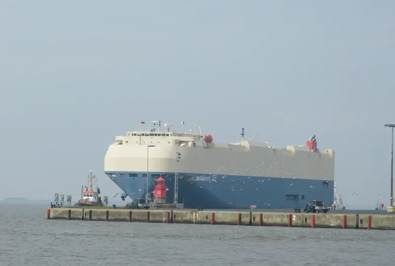 MARGUERITE ACE General Cargo IMO 9426386 photo 2