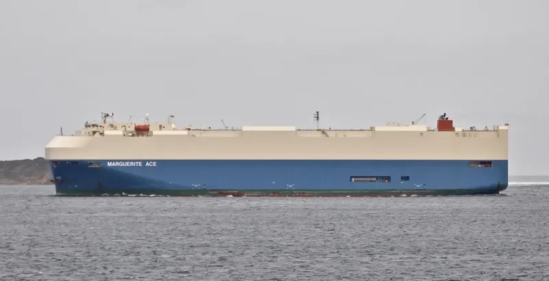 MARGUERITE ACE General Cargo IMO 9426386 photo 6