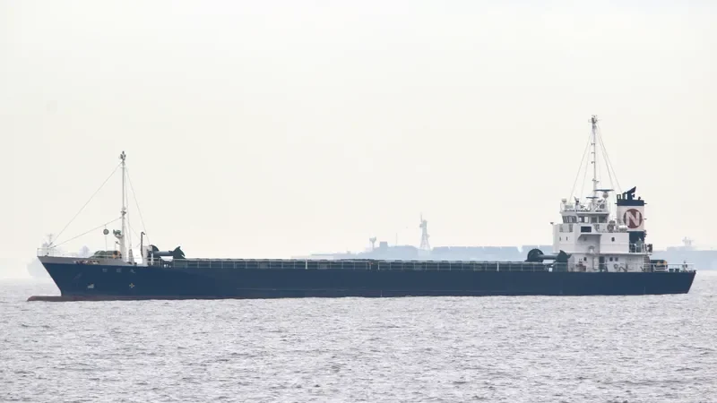 SUN YEONG General Cargo IMO 9426532 photo 4