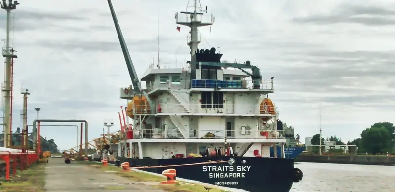 STRAITS SKY General Cargo IMO 9426635 photo 9