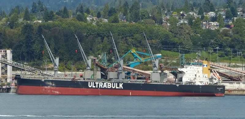 ULTRA PROSPERITY Bulk Carrier IMO 9426702 photo 7