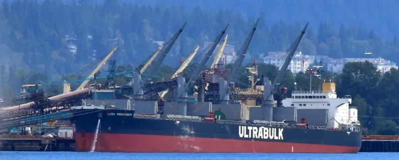 ULTRA PROSPERITY Bulk Carrier IMO 9426702 photo 8