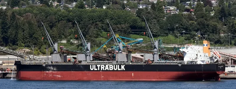 ULTRA PROSPERITY Bulk Carrier IMO 9426702 photo 9