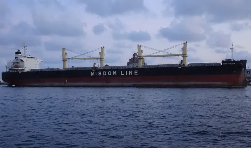 AMIS WISDOM I Bulk Carrier IMO 9426764 photo 2