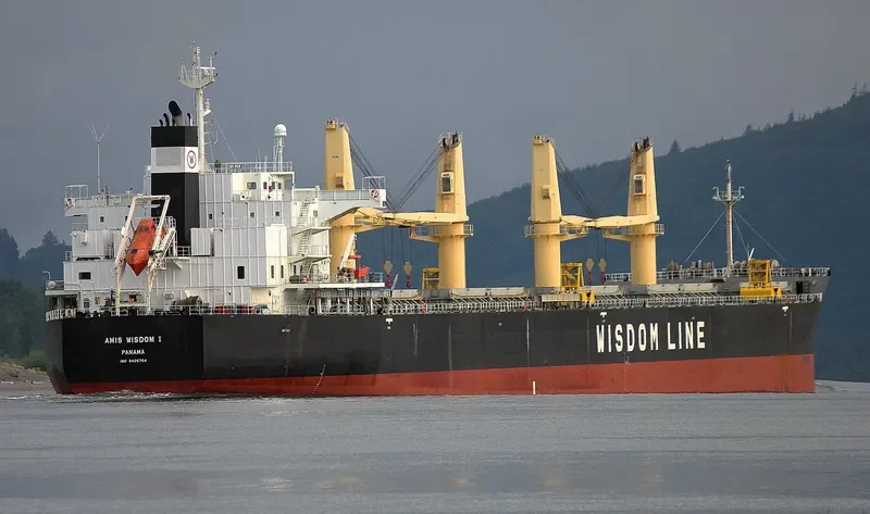 AMIS WISDOM I Bulk Carrier IMO 9426764 photo 5