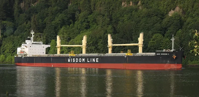 AMIS WISDOM I Bulk Carrier IMO 9426764 photo 7