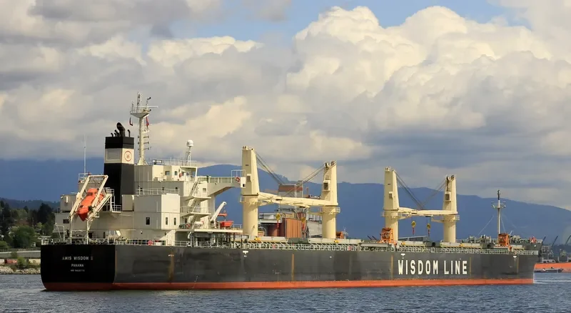 AMIS WISDOM II Bulk Carrier IMO 9426776 photo 8