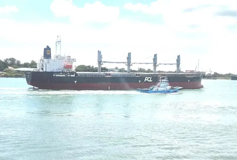 BC VANESSA Bulk Carrier IMO 9426855