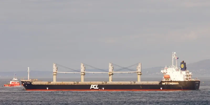 BC VANESSA Bulk Carrier IMO 9426855 photo 5